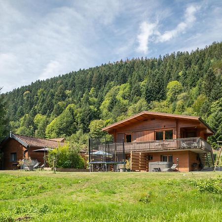 Chalets Du Bouchot & Jacuzzi Privatif Proximite Gerardmer & La Bresse Rochesson Bagian luar foto